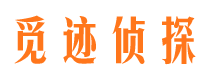 从江市私家侦探